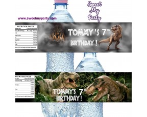 Dinosaur water bottle labels, (no.163,165 jurassic)